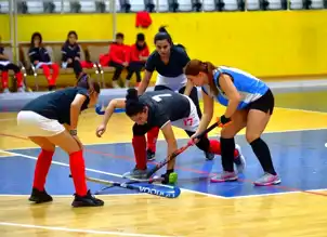Osmaniye'de Hokey 1. Lig Başladı!